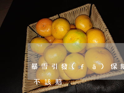 “暴雪”引發(fā)保險糾紛：誰說了算？該不該賠